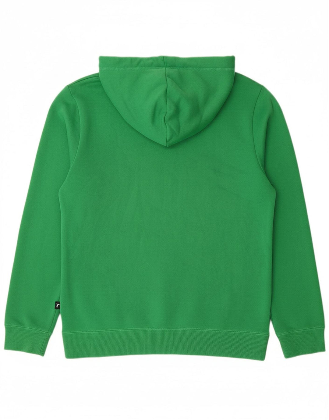 PUMA Mens Graphic Hoodie Jumper Small Green