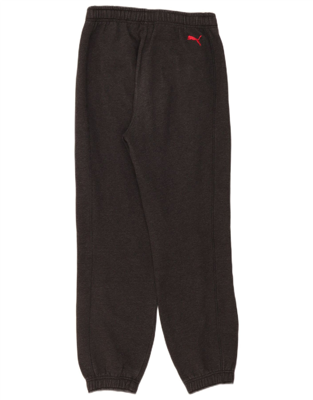 Pantaloni da tuta grafica da uomo Puma Joggers piccoli grigi screziati