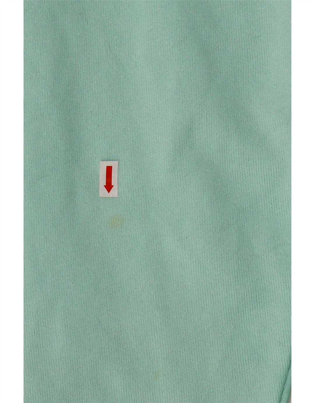 CHAMPION Womens Reverse Weave Hoodie Jumper UK 10 Small Turquoise