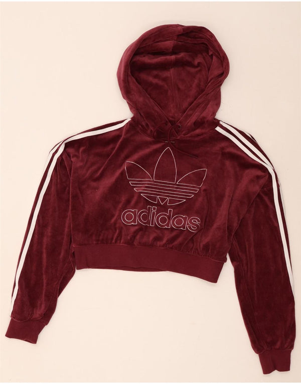 Maglione con cappuccio in velluto corto oversize da donna Adidas UK 8 piccolo bordeaux