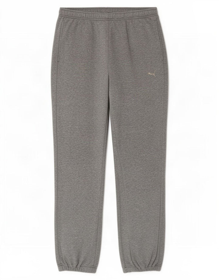 Pantaloni da tuta da uomo Puma Joggers Large Grigi