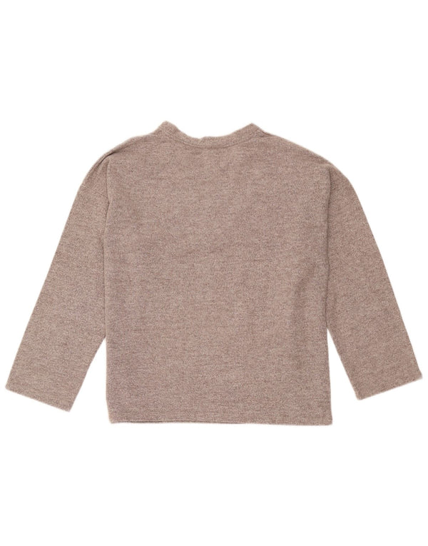 Top Zara Trafaluc da donna oversize a maniche lunghe UK 10 piccolo marrone screziato