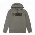 Felpa con cappuccio grafica da uomo Puma piccola grigia