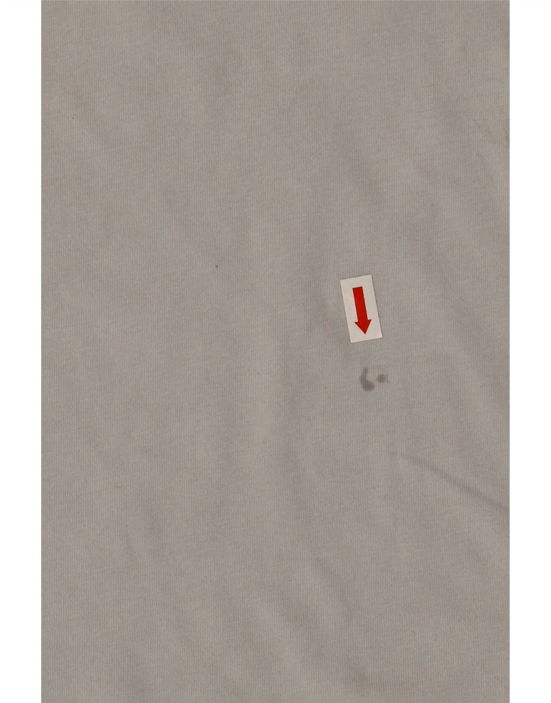T-shirt grafica da uomo The North Face Top in cotone grigio medio