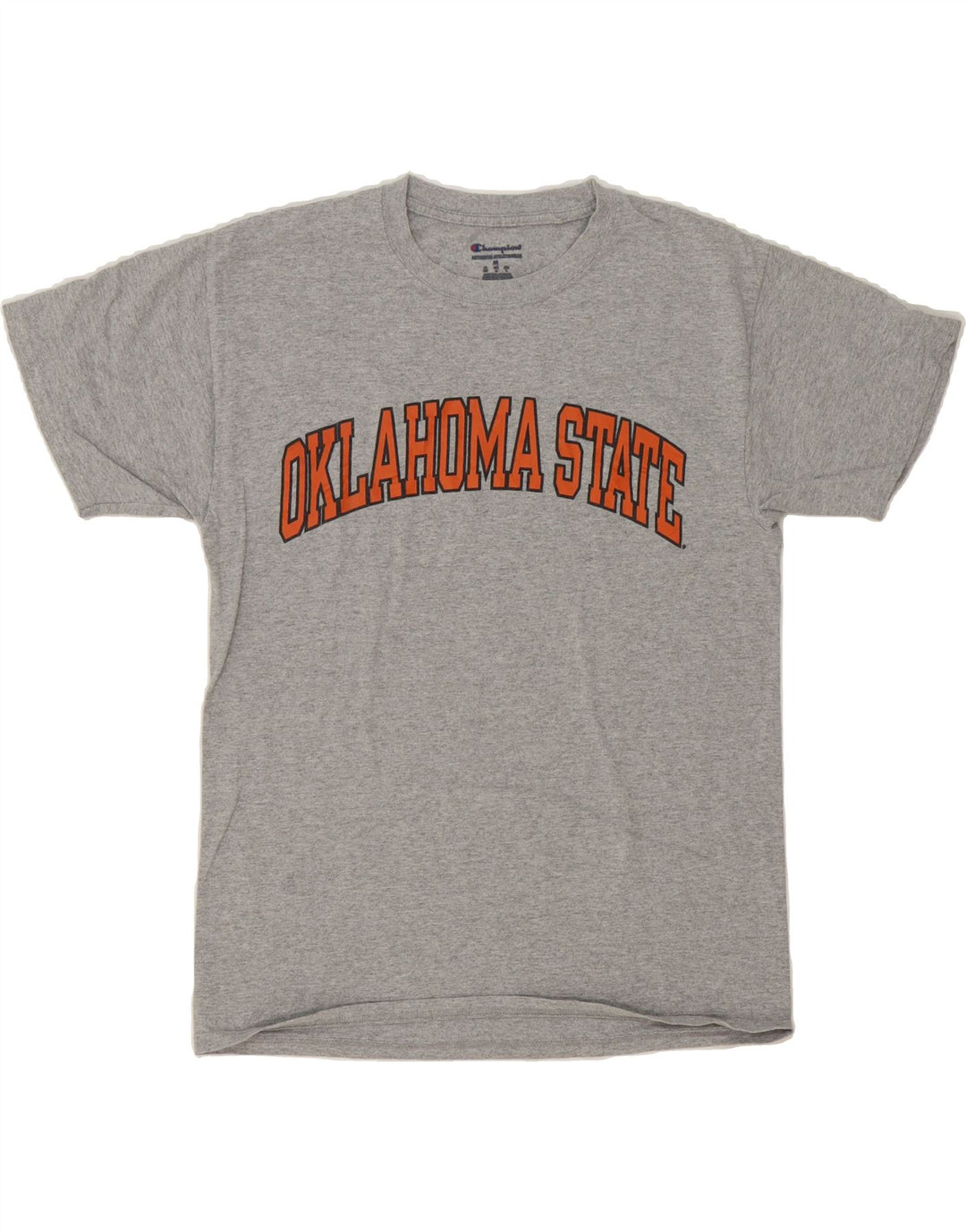 CHAMPION Mens Graphic T-Shirt Top Medium Grey Vintage Champion and Second-Hand Champion from Messina Hembry 