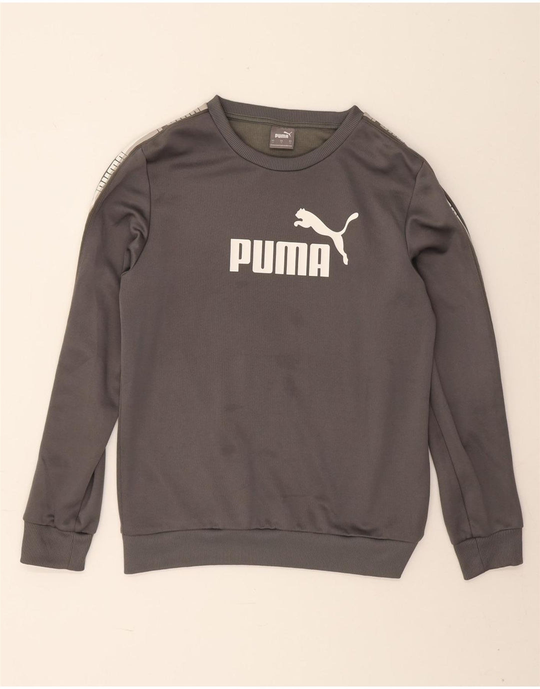 Felpa grafica da uomo Puma Maglione piccolo grigio poliestere