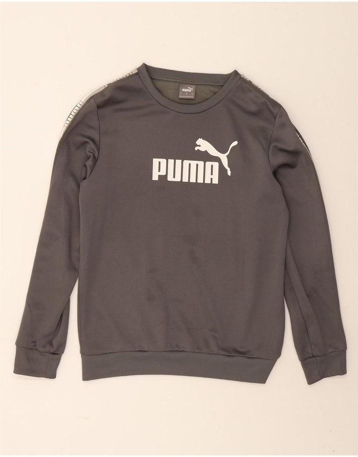 Felpa grafica da uomo Puma Maglione piccolo grigio poliestere