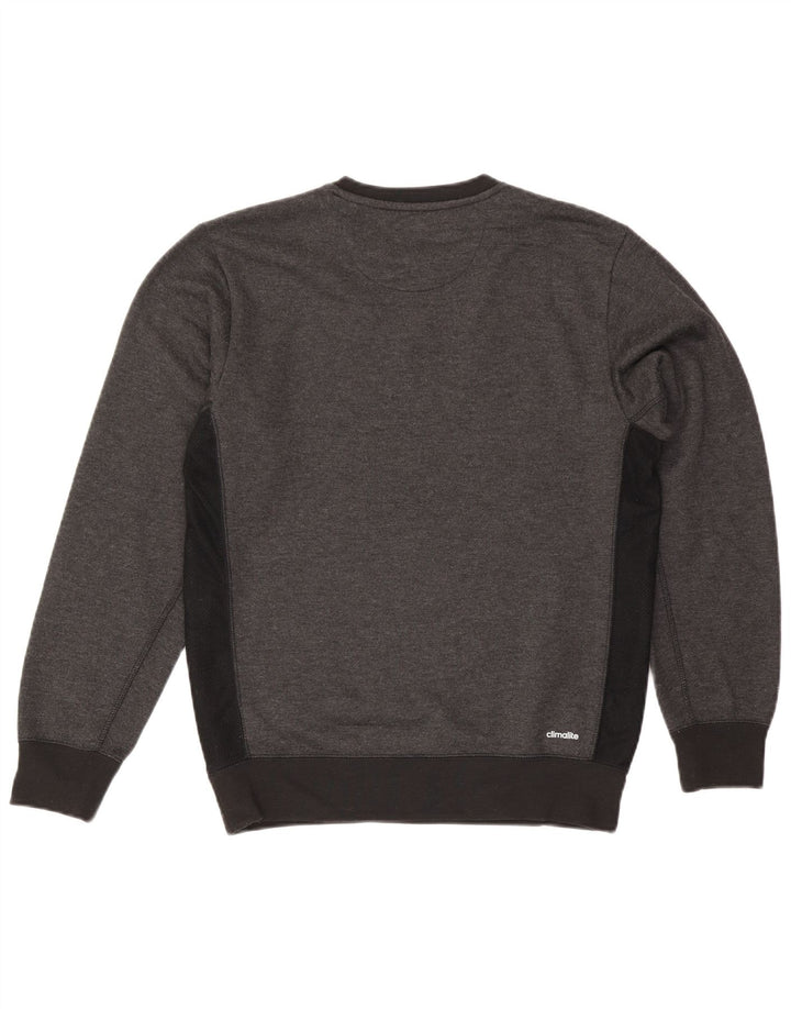 Felpa grafica Adidas Climalite da uomo, piccola, color grigio