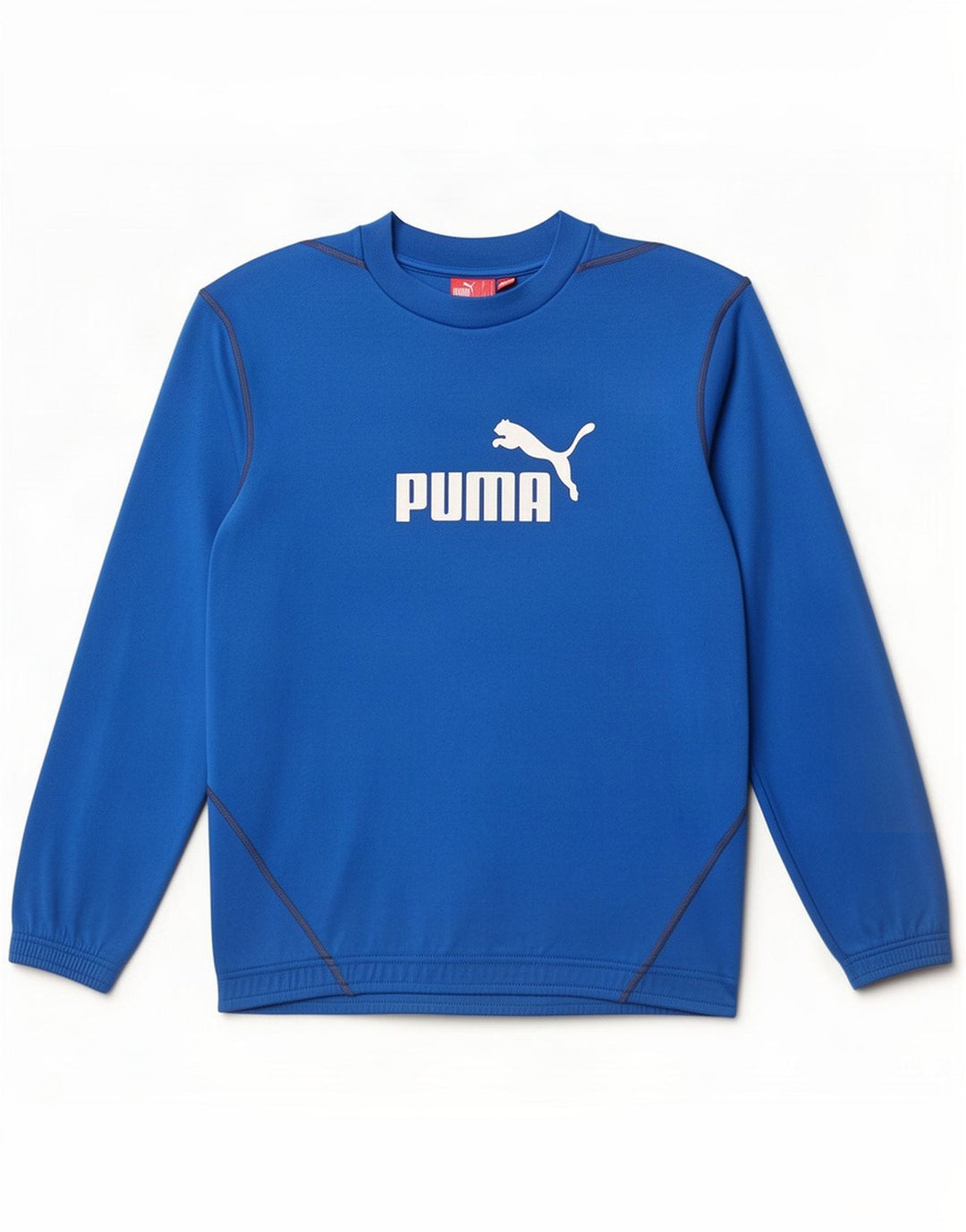 Puma Felpa con grafica da uomo Maglione Small Blu