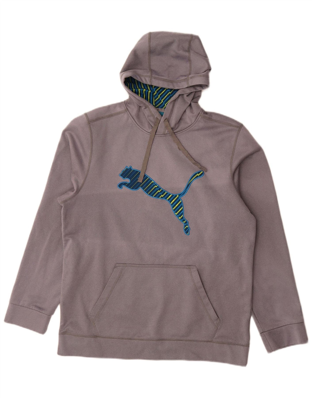 Felpa con cappuccio grafica da uomo Puma Large in poliestere grigio