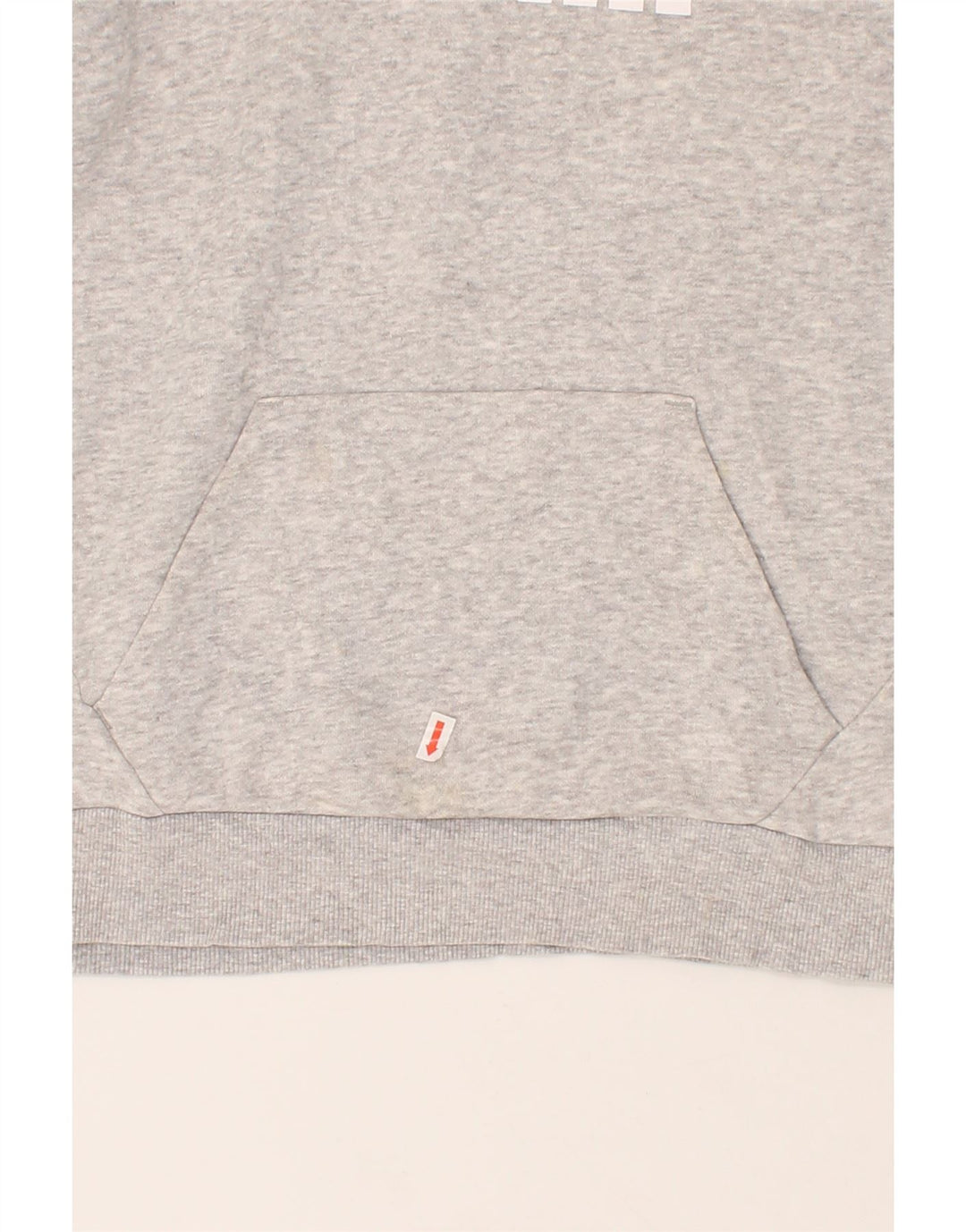 PUMA Womens Graphic Hoodie Jumper UK 14 Large Grey Vintage Puma and Second-Hand Puma from Messina Hembry 