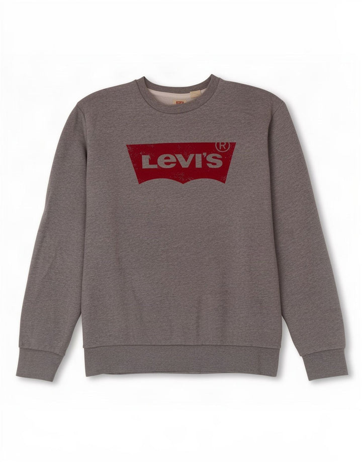 Felpa grafica da uomo Levi's, piccola, in cotone grigio