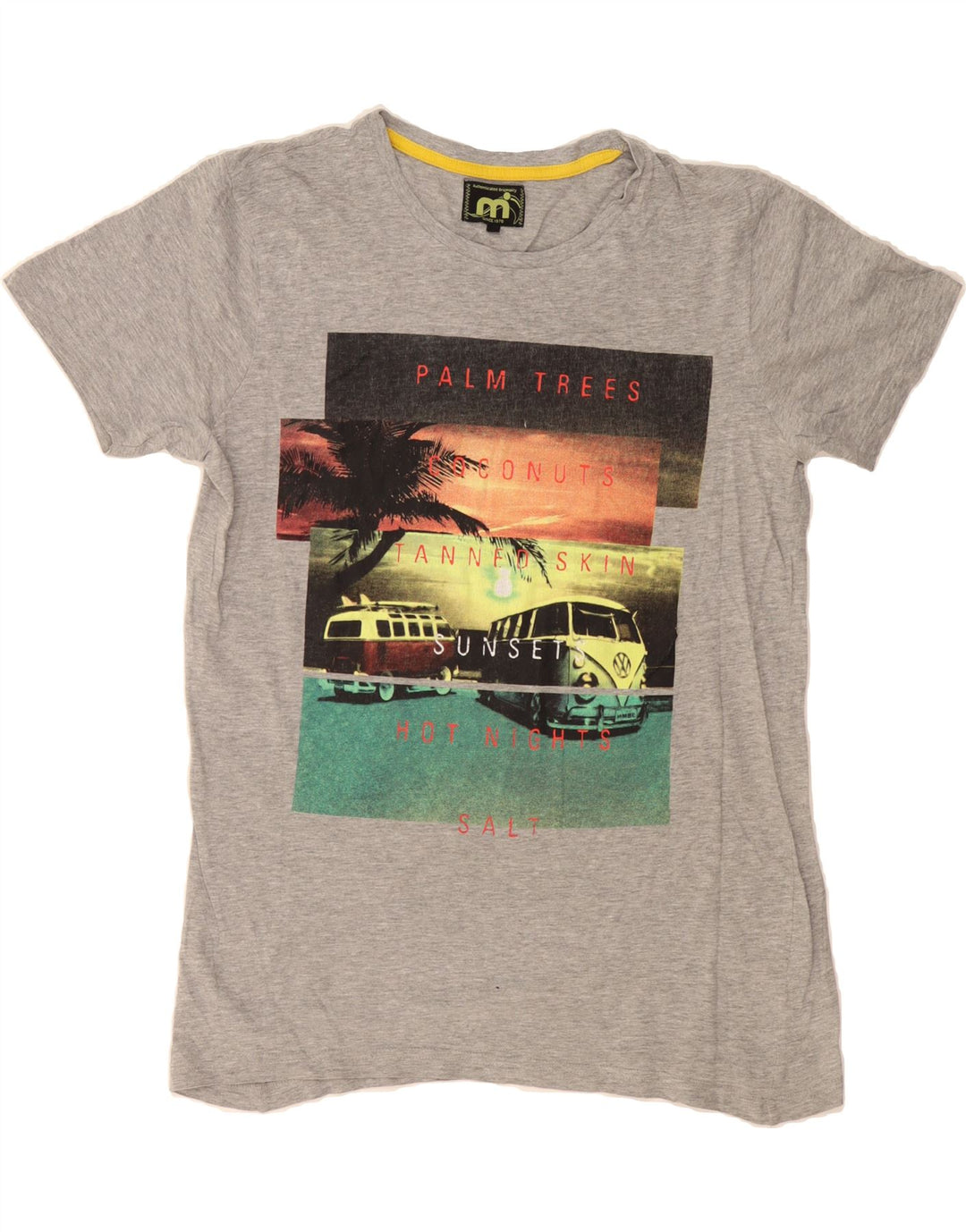 MISTRAL Mens Graphic T-Shirt Top Small Grey Cotton Vintage Mistral and Second-Hand Mistral from Messina Hembry 