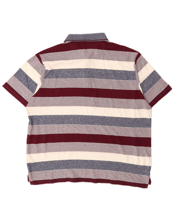Polo da uomo vestibilità regolare Pierre Cardin 2XL cotone a righe multicolore