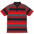 Polo da uomo dalla vestibilità regolare Pierre Cardin a righe medie multicolore
