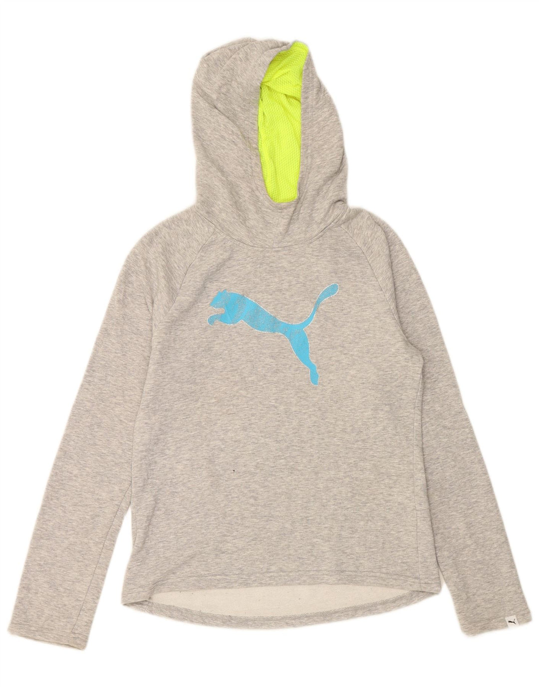 PUMA Womens Graphic Hoodie Jumper UK 10 Small  Grey