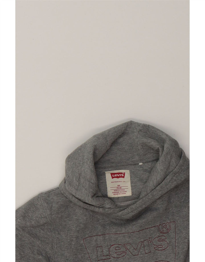 LEVI'S Boys Graphic Hoodie Jumper 15-16 Years Grey Vintage Levi's and Second-Hand Levi's from Messina Hembry 