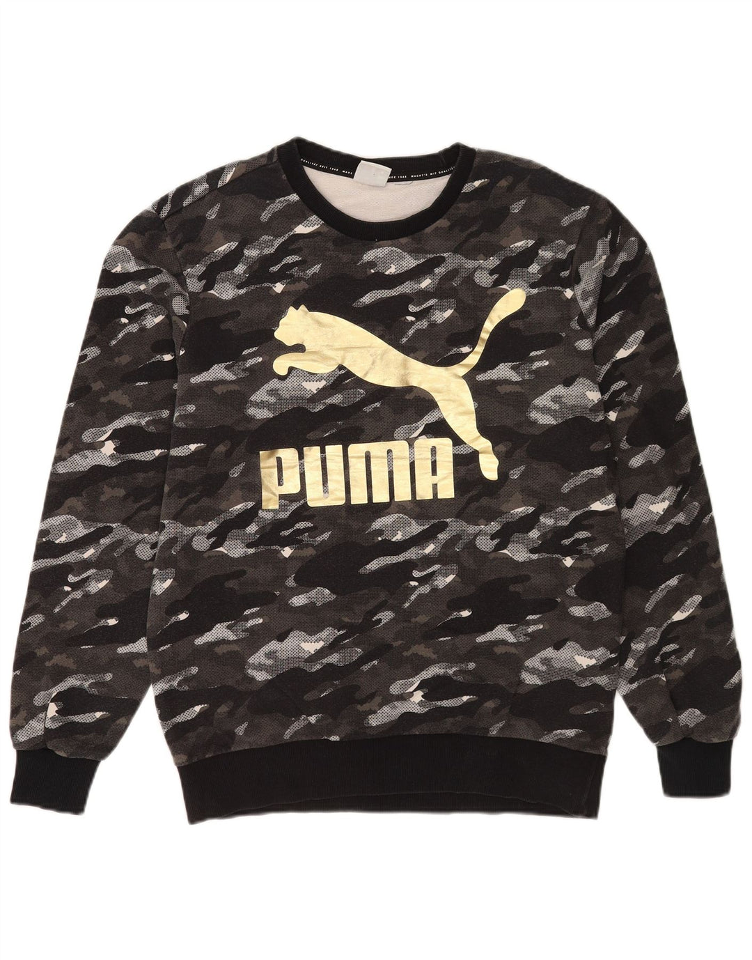 Felpa grafica da uomo Puma Maglione grigio medio mimetico