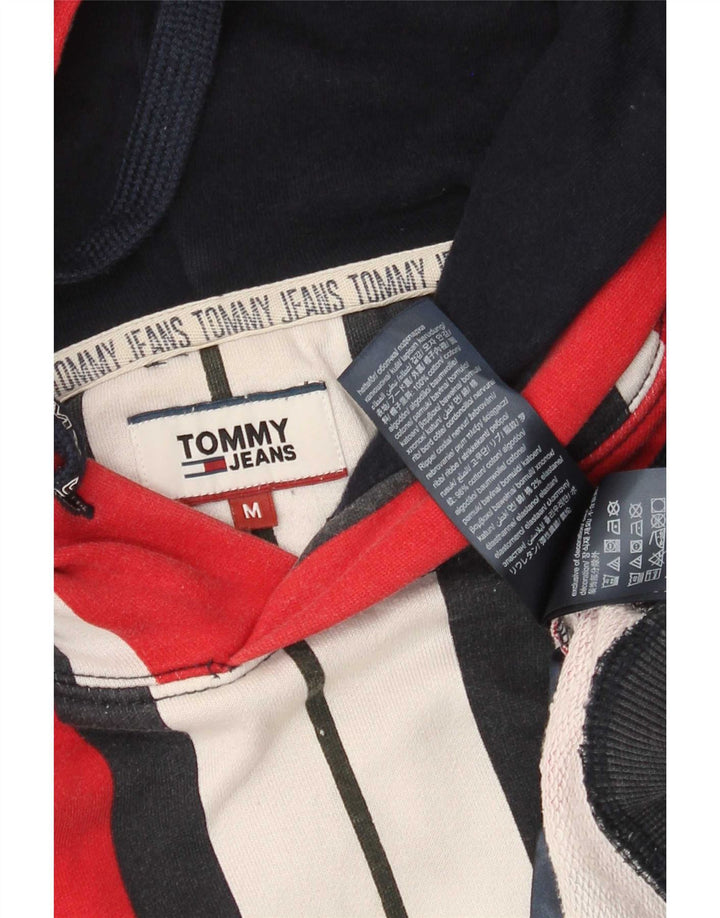 Maglione con cappuccio da uomo Tommy Hilfiger in cotone a righe medio multicolore