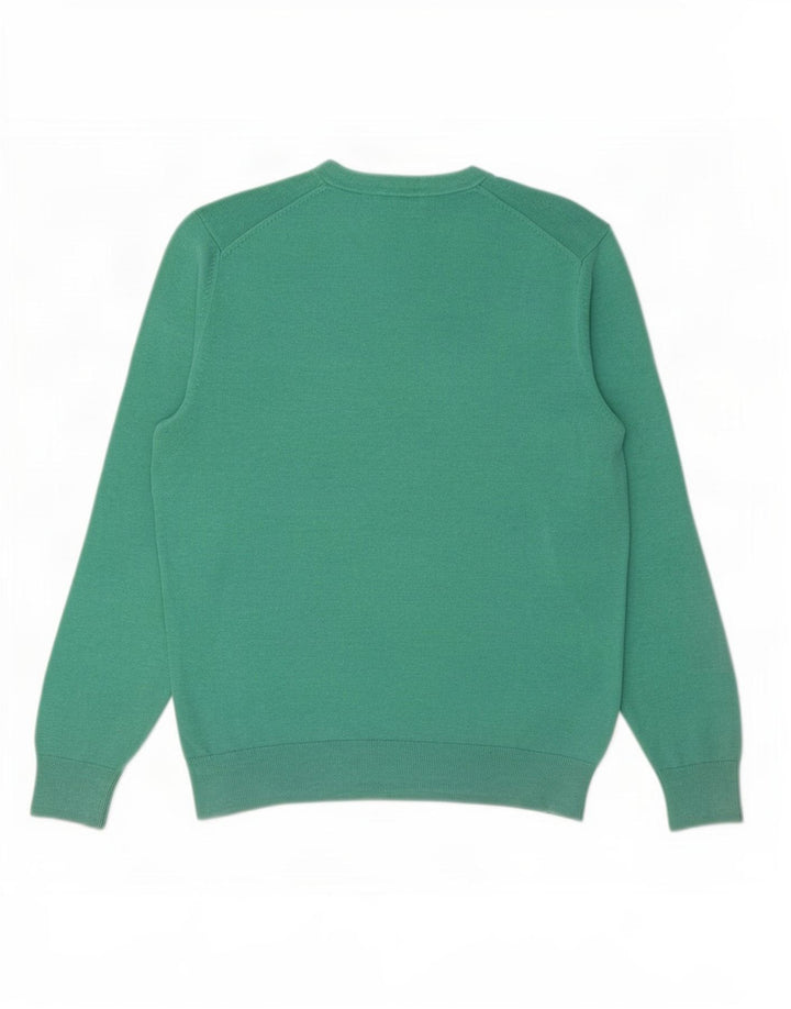 Maglione da uomo con scollo a V Gap in cotone verde medio