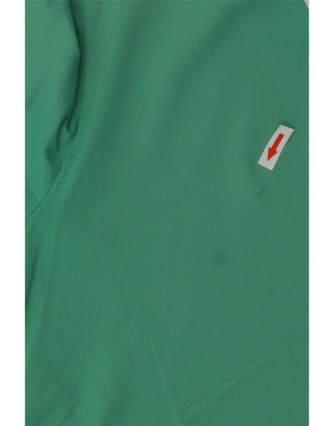 Polo da uomo Chervo grande in cotone turchese