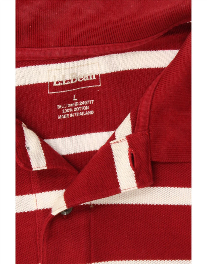 Polo da uomo L.L.BEAN in cotone a righe marroni grandi