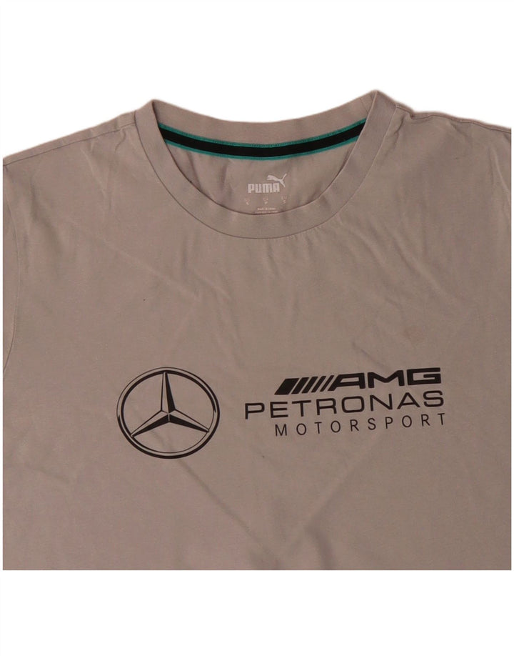 T-shirt grafica da uomo PUMA Top Small in cotone grigio