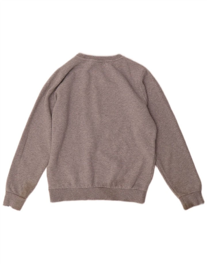Felpa grafica per ragazzi Ellesse, maglione 12-13 anni, cotone grigio