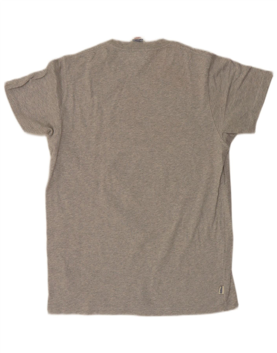 T-shirt grafica da uomo Franklin Marshall Top in cotone grigio medio