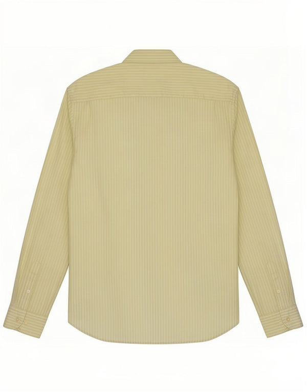 Massimo Dutti Camicia da uomo XL Gessato verde